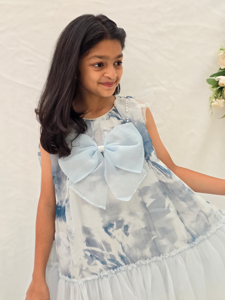 
                  
                    Printed Shades Of Powder Blue Big Bow Dress
                  
                