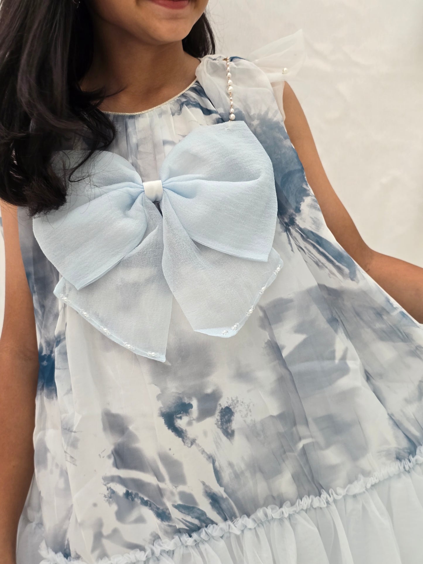 
                  
                    Printed Shades Of Powder Blue Big Bow Dress
                  
                