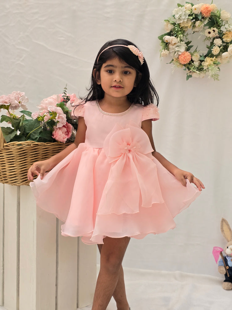 
                  
                    Organza Baby Pink Dress
                  
                