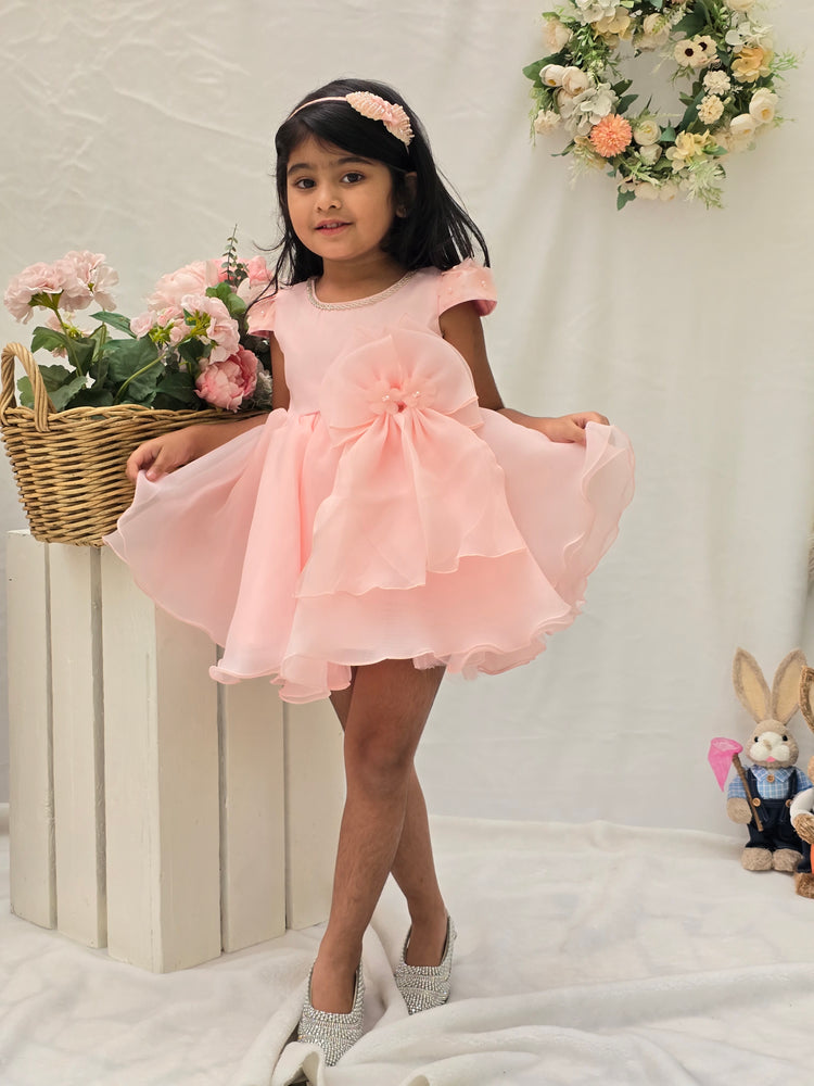 
                  
                    Organza Baby Pink Dress
                  
                