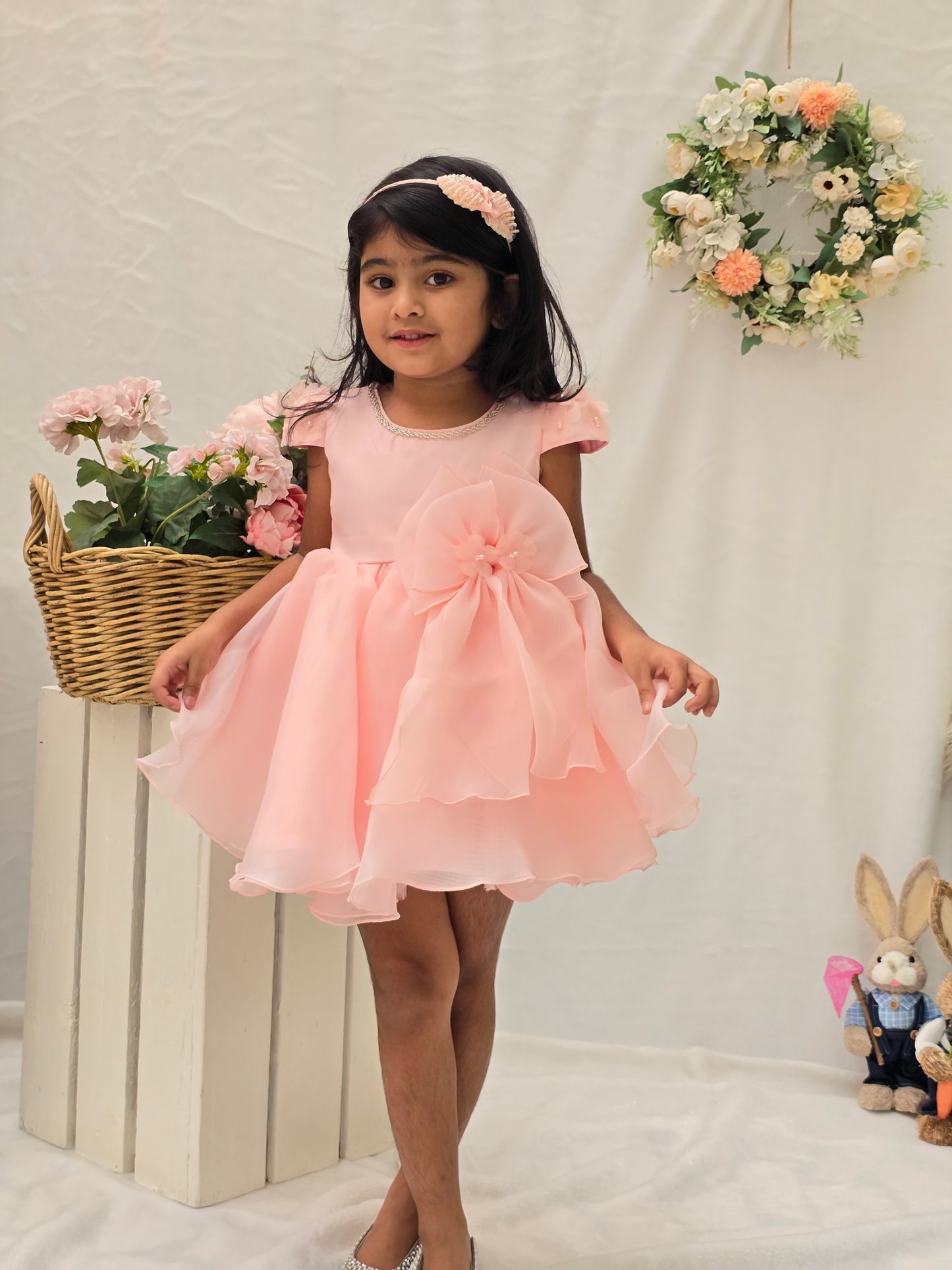 
                  
                    Organza Baby Pink Dress
                  
                