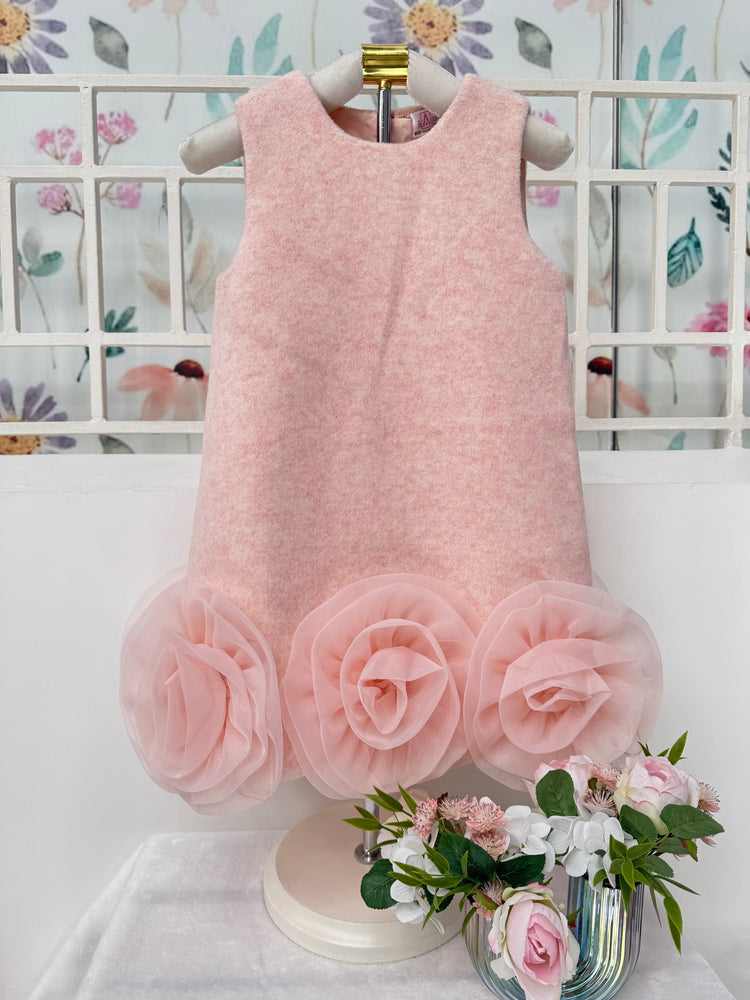 
                  
                    Baby Pink Woollen Dress
                  
                