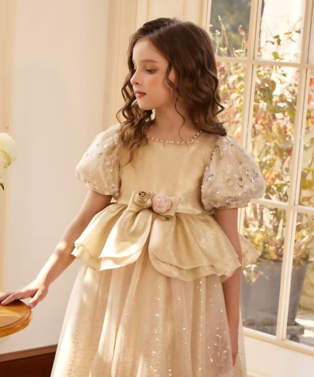 PUFF SHIMMER SLEEVE GOLDEN FROCK